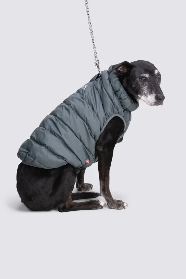 Dog Coat— L>Macpac Best