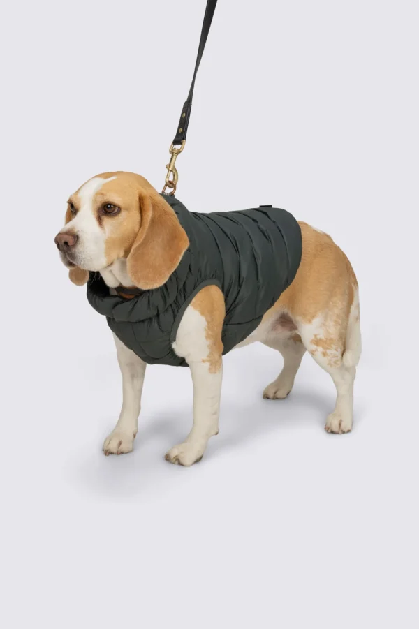 Dog Coat— M>Macpac Cheap