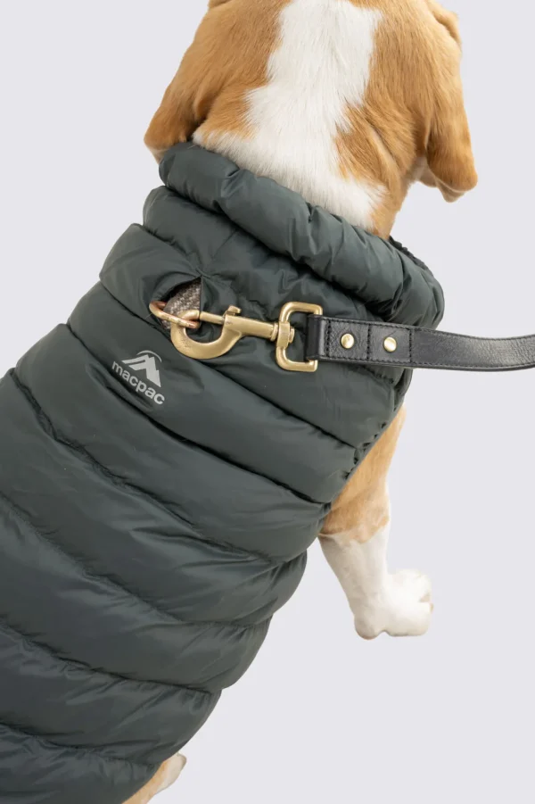 Dog Coat— M>Macpac Cheap
