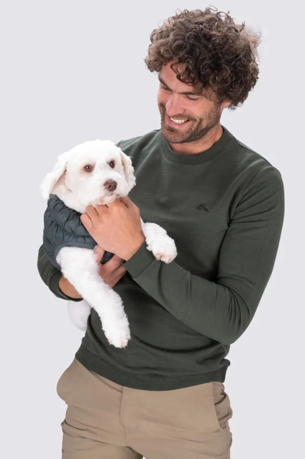 Dog Coat— S>Macpac Store
