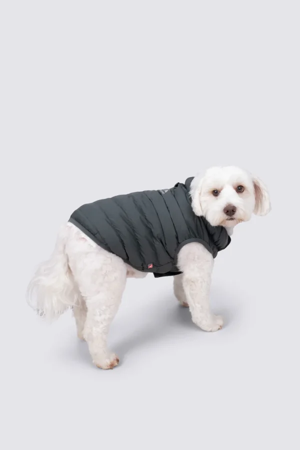 Dog Coat— S>Macpac Store