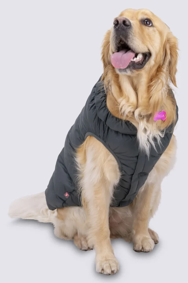 Dog Coat— Xl>Macpac Sale