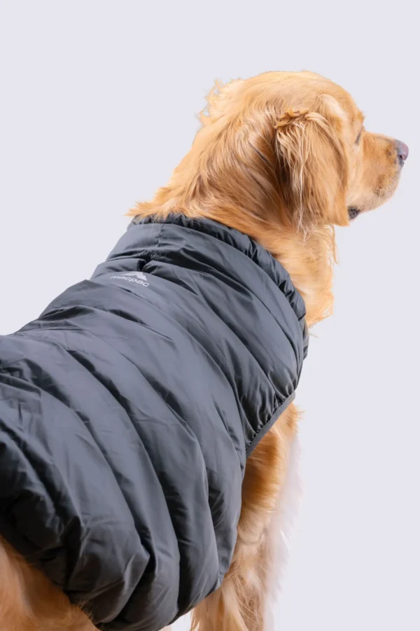 Dog Coat— Xl>Macpac Sale