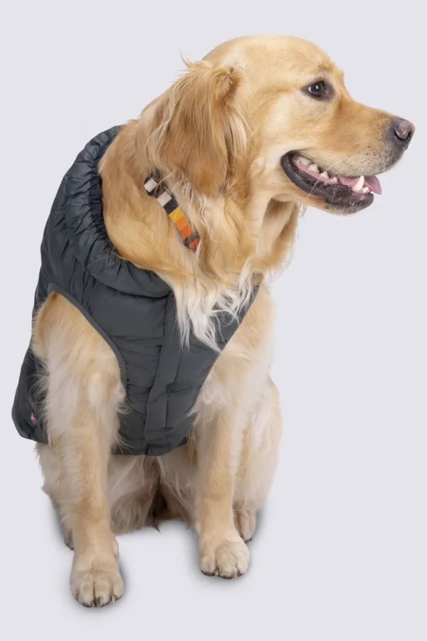 Dog Coat— Xl>Macpac Sale