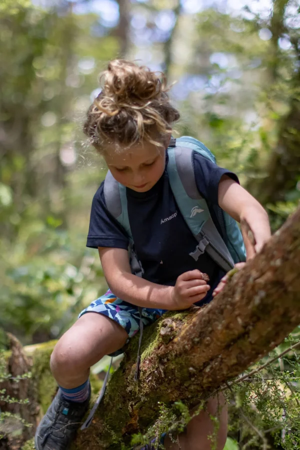 Kids' Eyre T-Shirt>Macpac Online